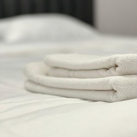 Transylvania Central Apartment 克卢日-纳波卡 外观 照片