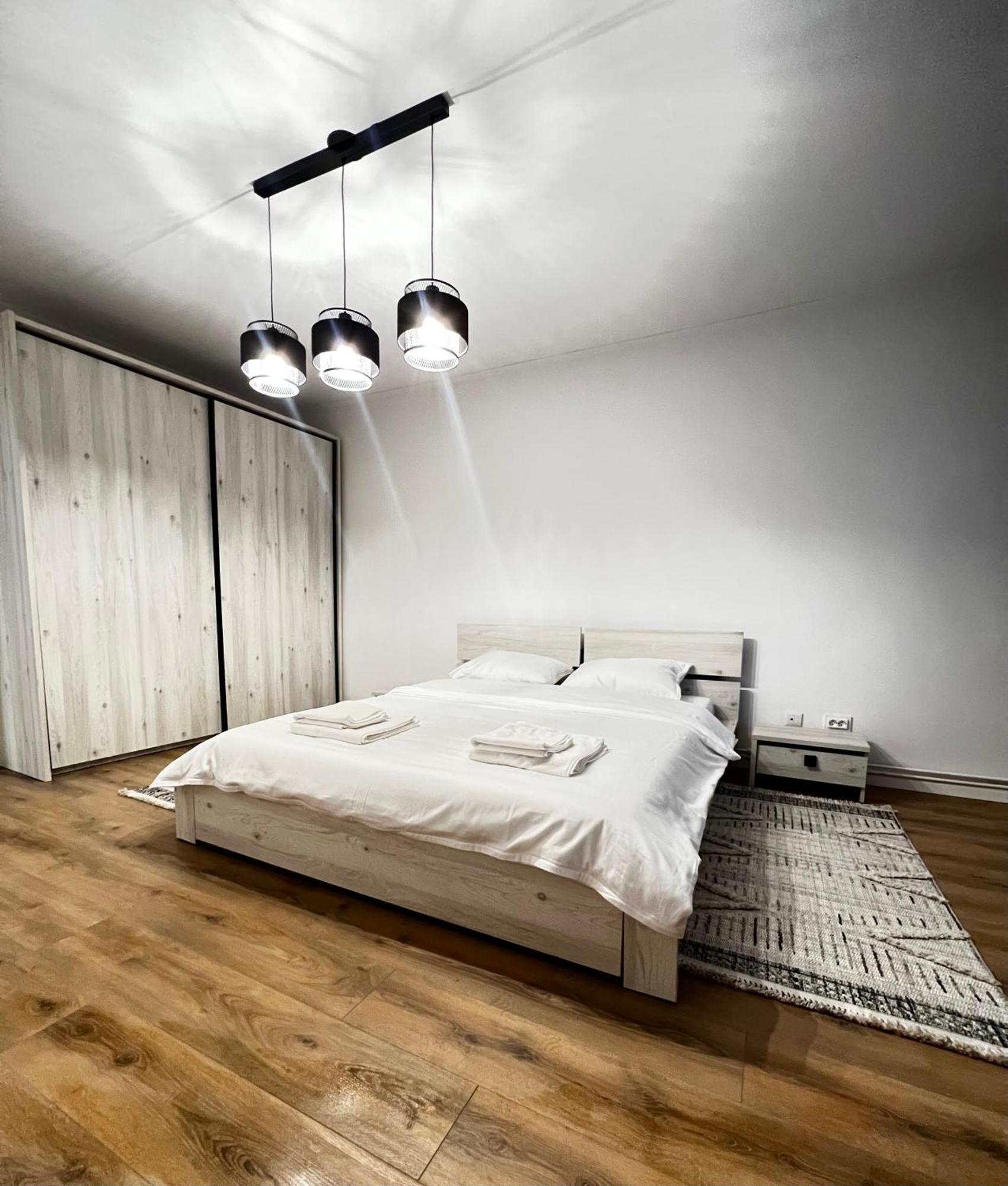 Transylvania Central Apartment 克卢日-纳波卡 外观 照片