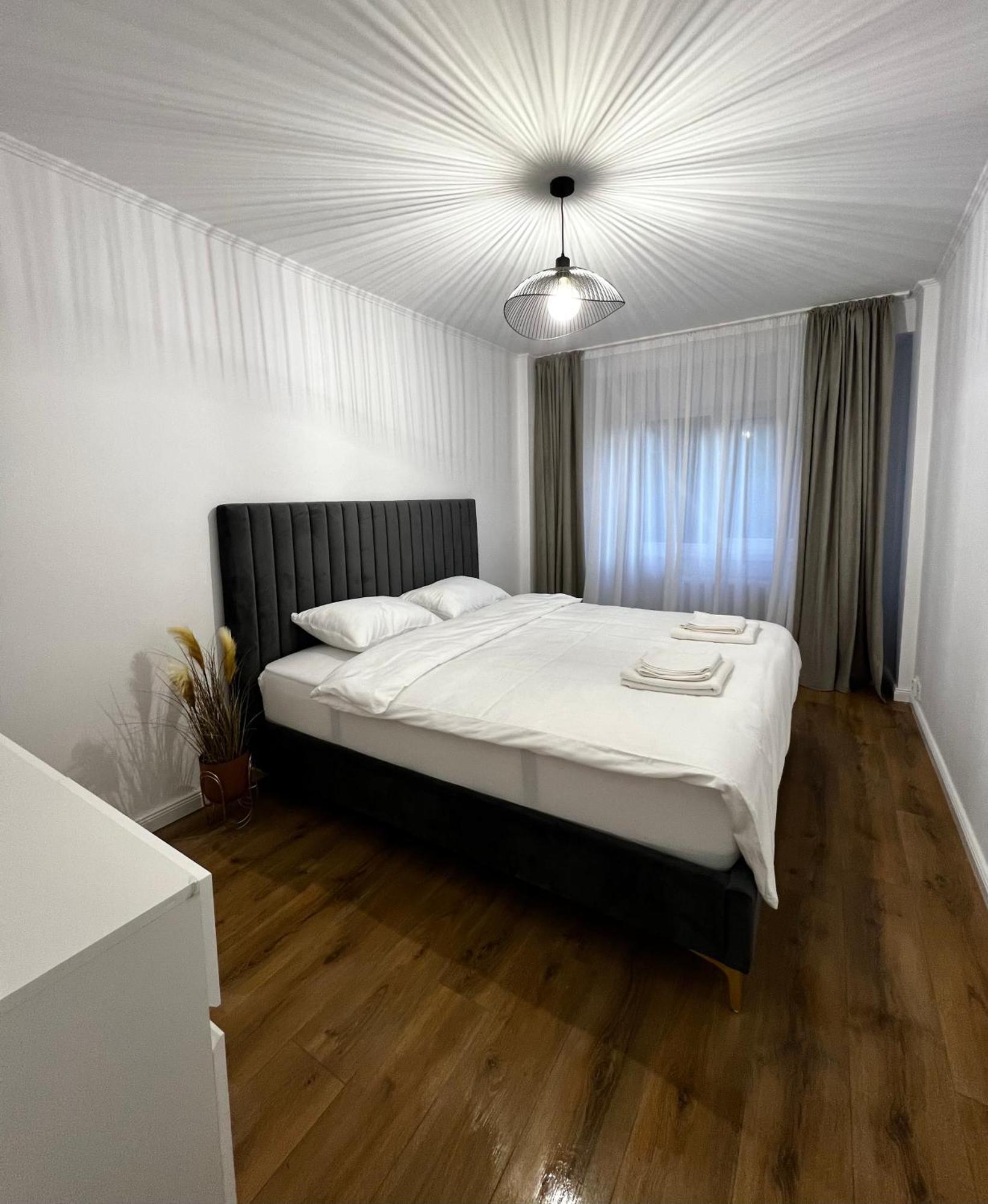 Transylvania Central Apartment 克卢日-纳波卡 外观 照片